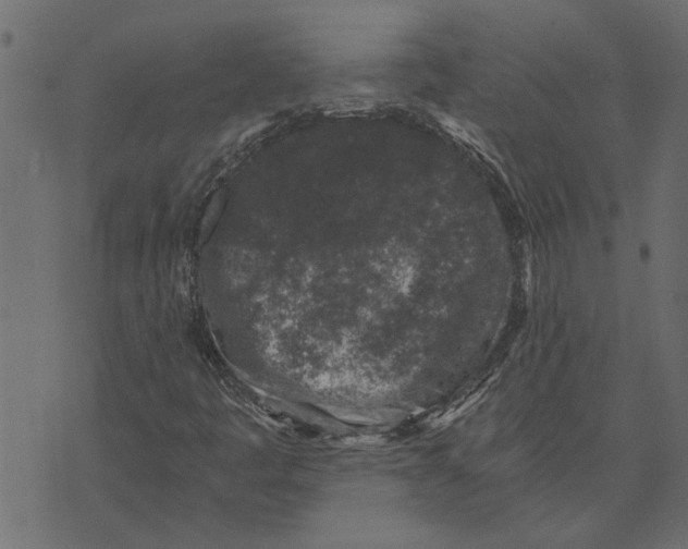 X0000072961445200608181419