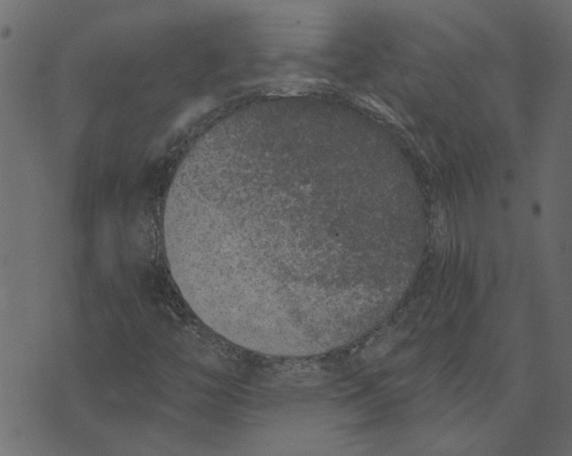 X0000072961446200608181419