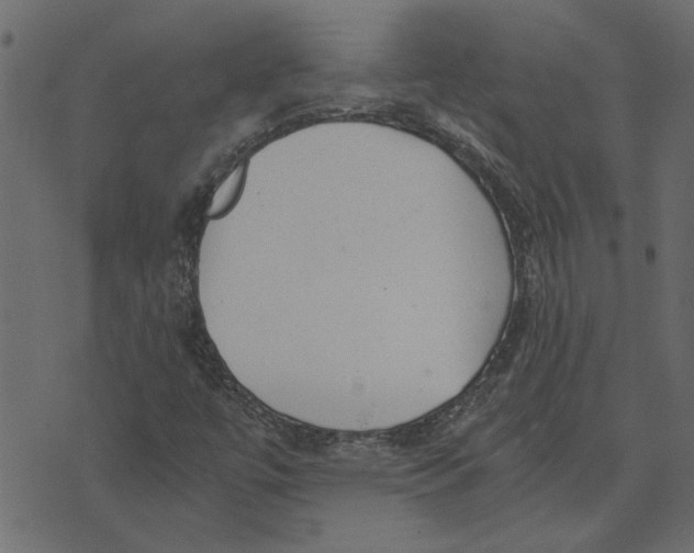 X0000072961447200608181419