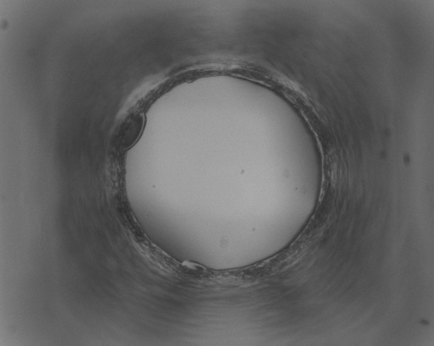 X0000072961448200608181419