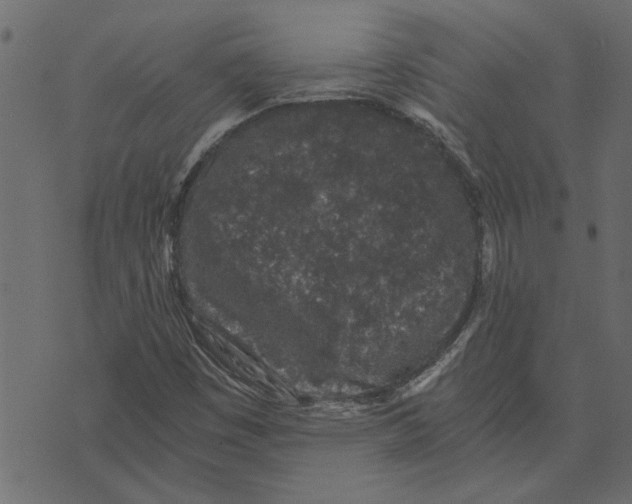 X0000072961449200608181419