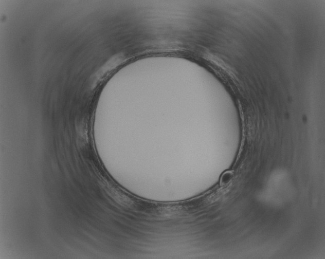 X0000072961451200608181419