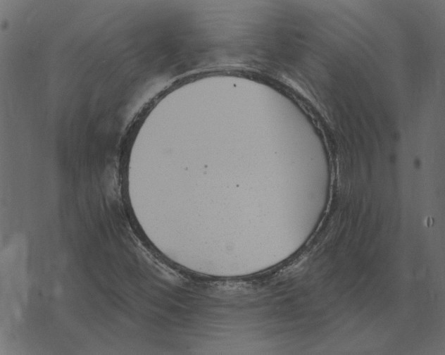 X0000072961452200608181419