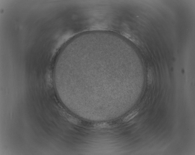 X0000072961454200608181419