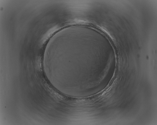 X0000072961455200608181419