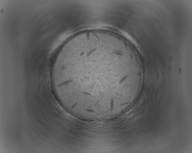 X0000072961456200608181419