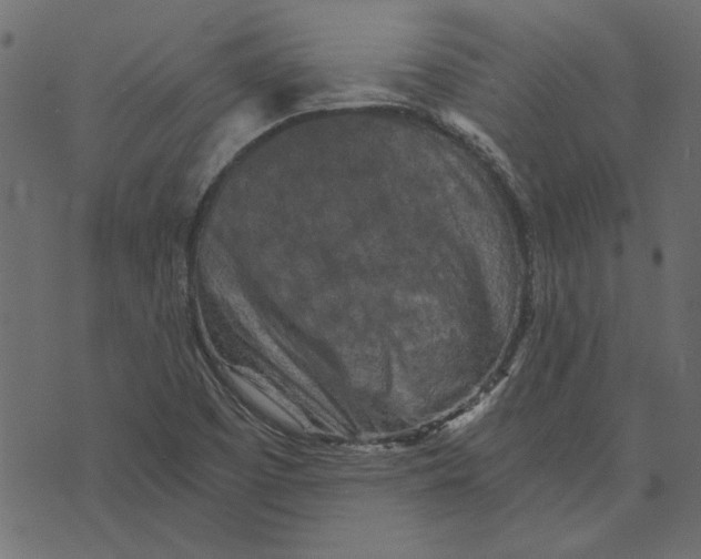 X0000072961457200608181419