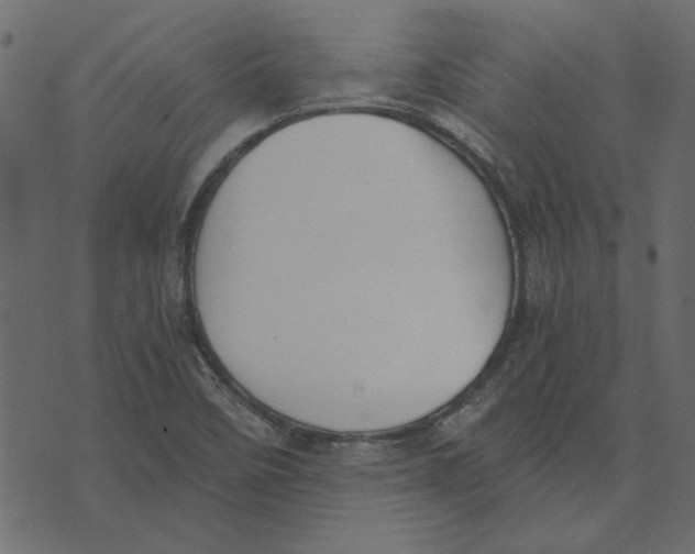 X0000072961458200608181419