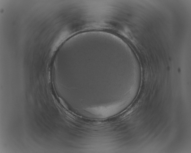 X0000072961459200608181419