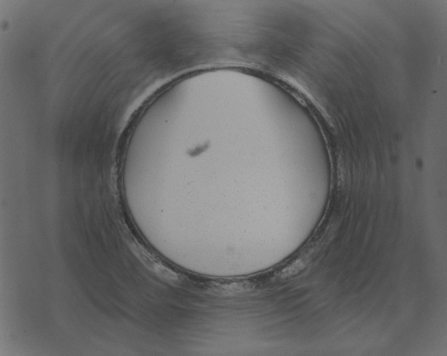 X0000072961460200608181419