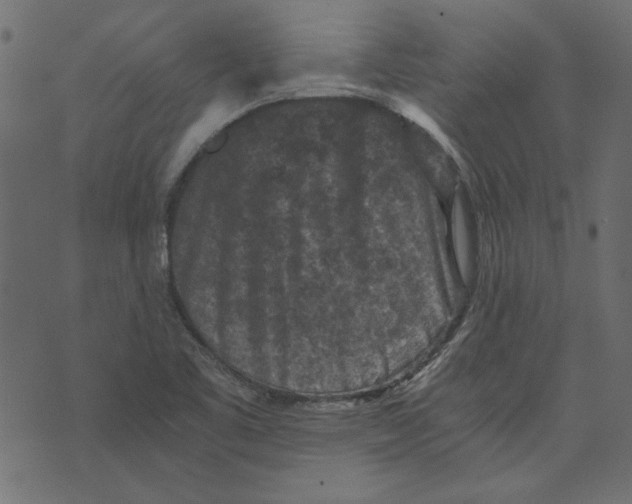 X0000072961461200608181419