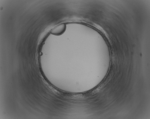 X0000072961464200608181419