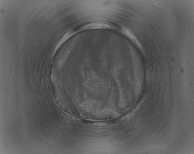 X0000072961465200608181419