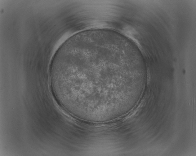 X0000072961467200608181419