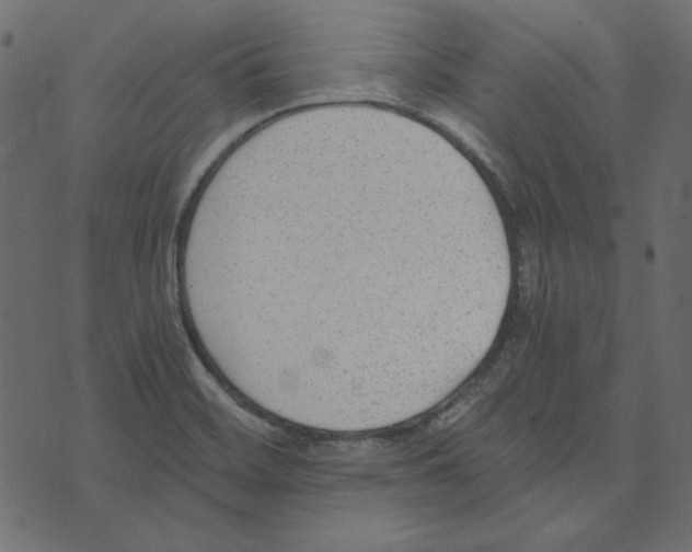 X0000072961468200608181419