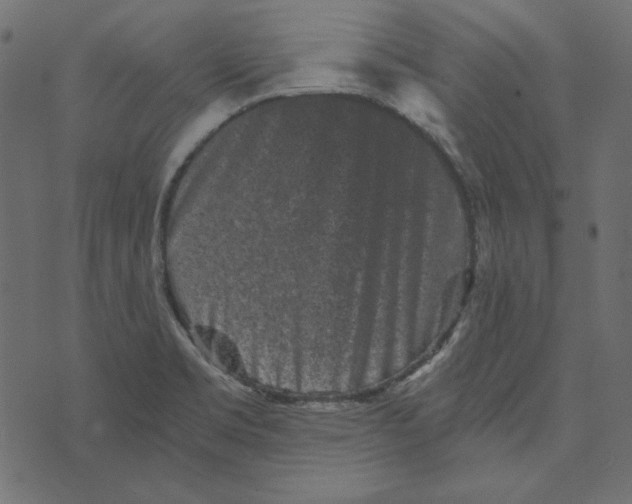 X0000072961469200608181419