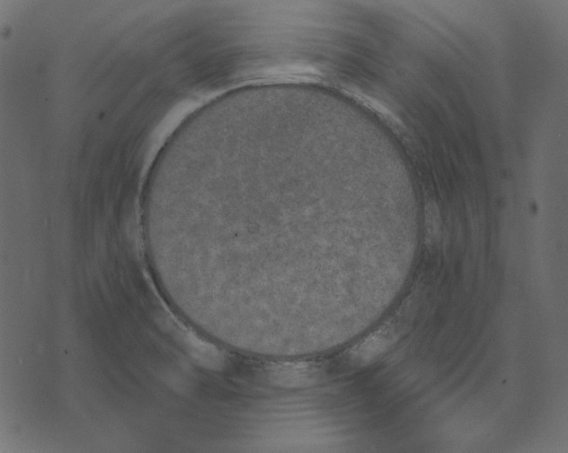 X0000072961470200608181419