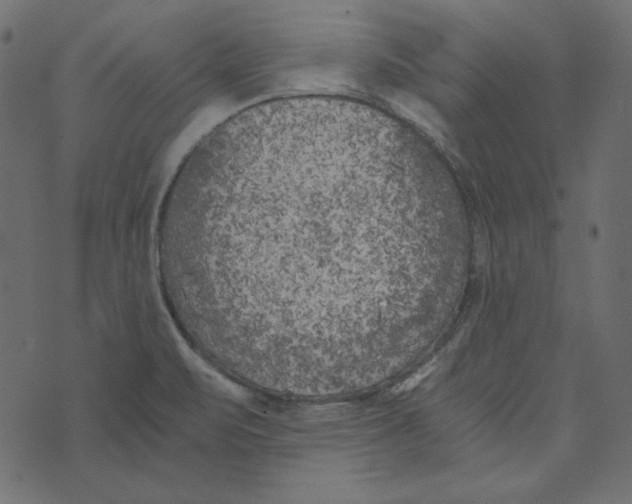 X0000072961471200608181419