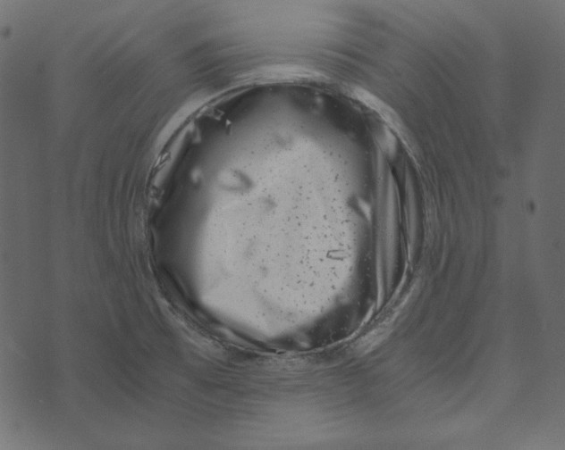 X0000072961473200608181419