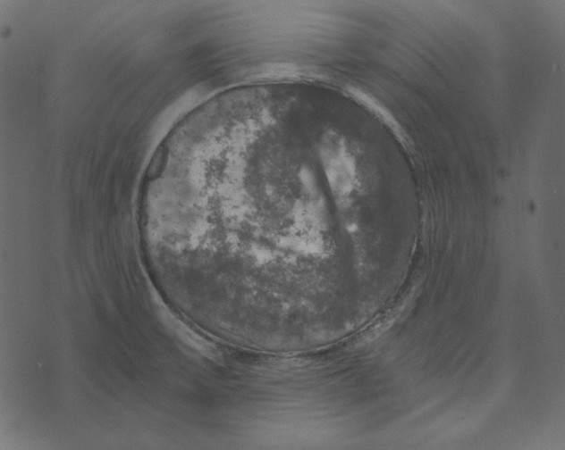 X0000072961475200608181419