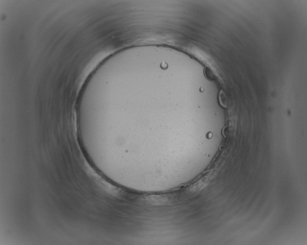 X0000072961476200608181419