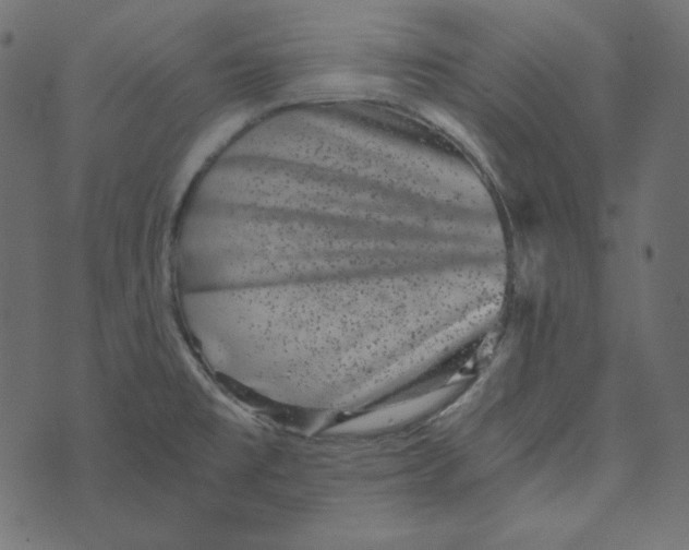 X0000072961477200608181419