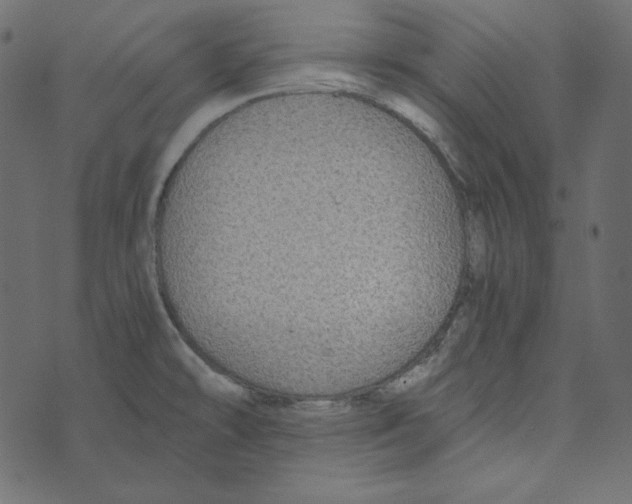 X0000072961478200608181419