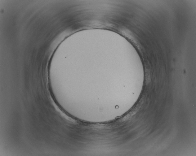 X0000072961479200608181419