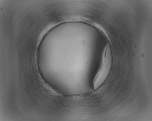 X0000072961480200608181419