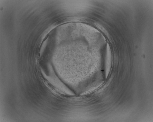 X0000072961481200608181419