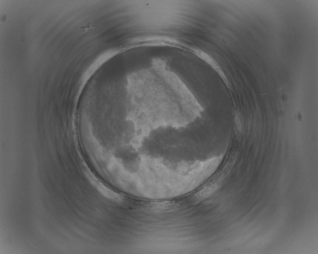 X0000072961482200608181419