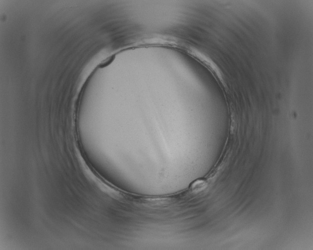 X0000072961483200608181419