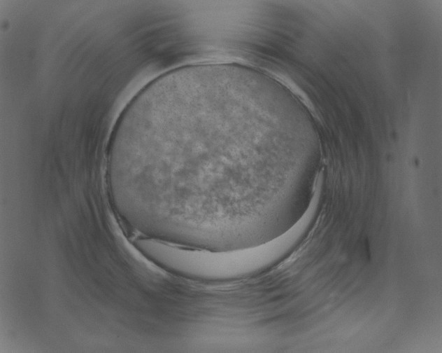 X0000072961484200608181419