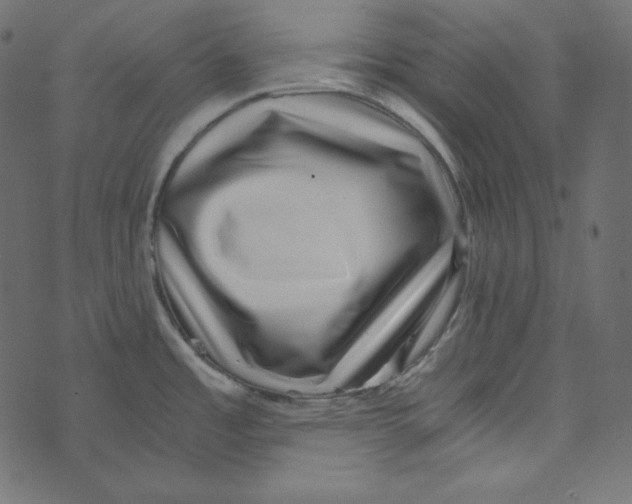 X0000072961485200608181419