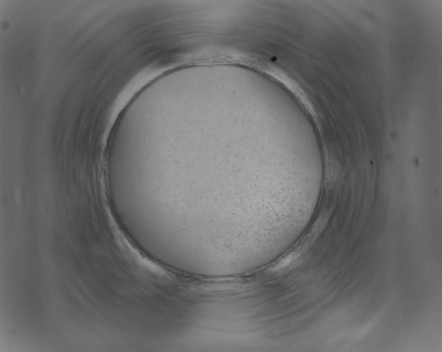 X0000072961486200608181419