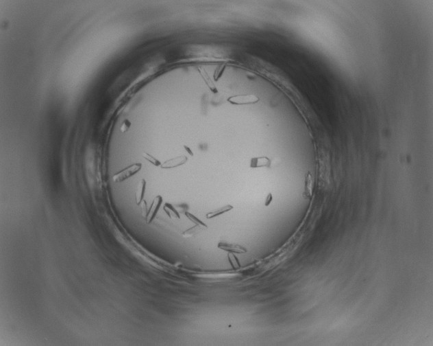 X0000072961487200608181419