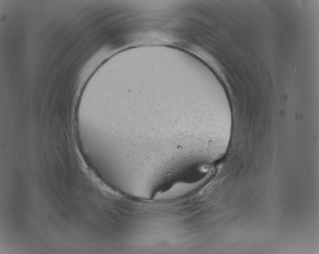 X0000072961488200608181419