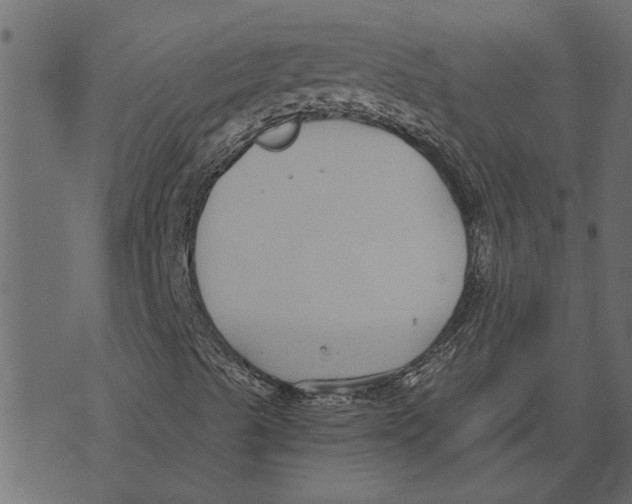 X0000072961489200608181418