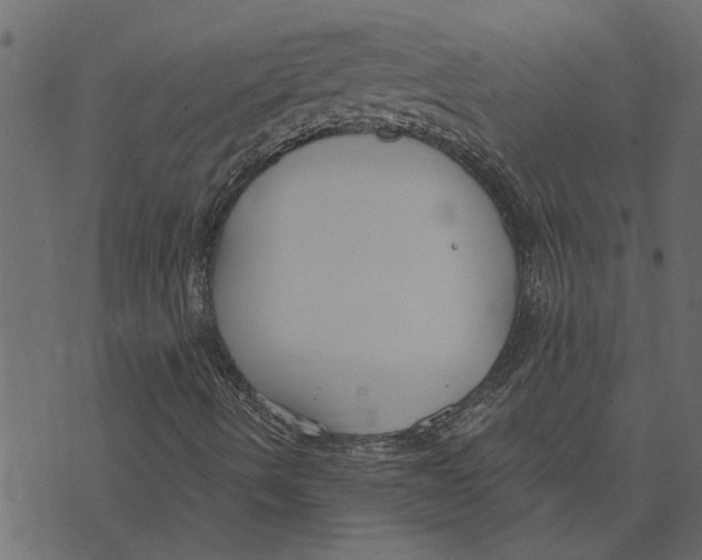 X0000072961490200608181418