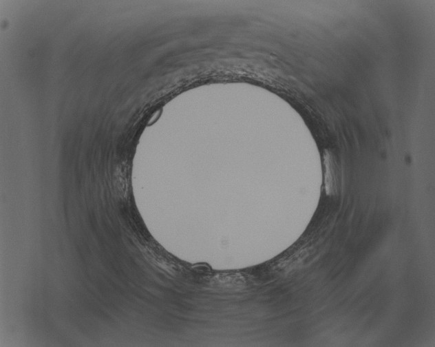 X0000072961491200608181418