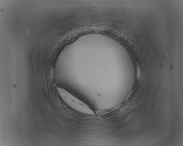 X0000072961492200608181418