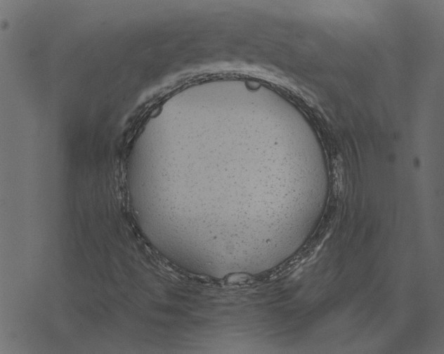 X0000072961494200608181418