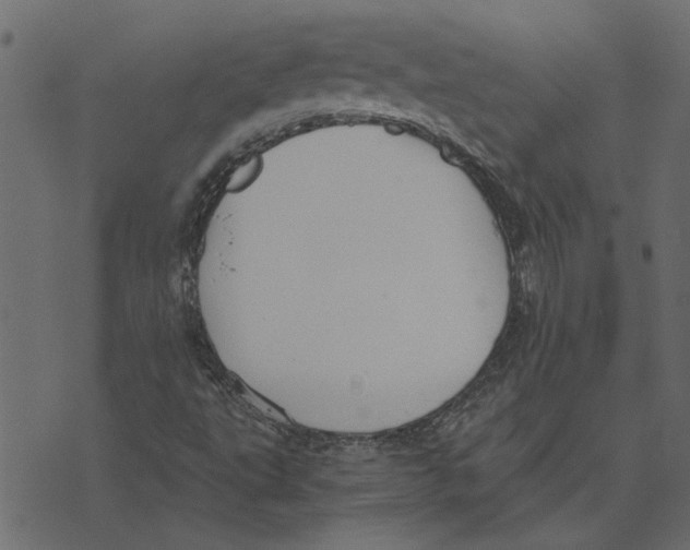 X0000072961495200608181418