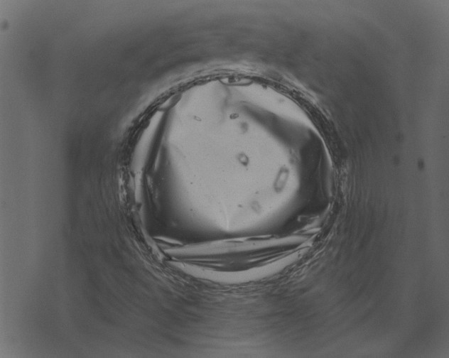 X0000072961496200608181418