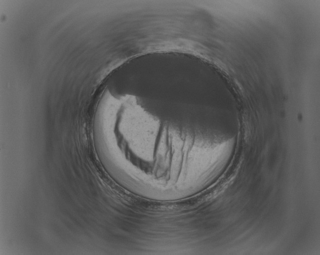 X0000072961497200608181418