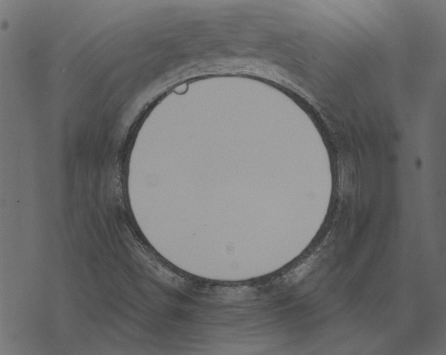 X0000072961498200608181418