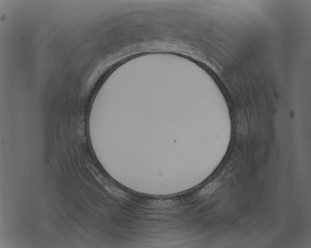 X0000072961499200608181418