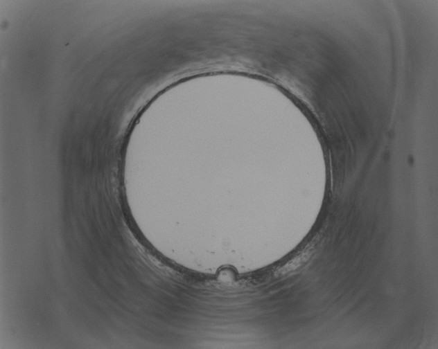 X0000072961500200608181418