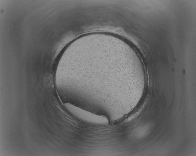 X0000072961501200608181418