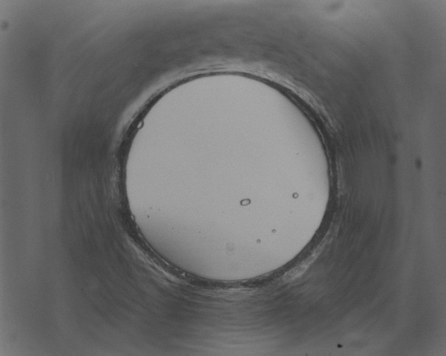 X0000072961502200608181418